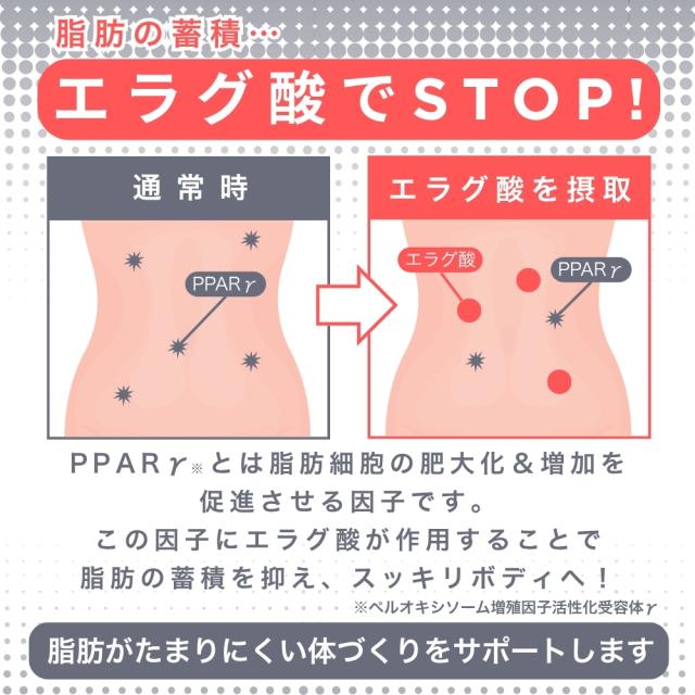 キラーバーナー2 KILLER BURNER 2 キラーバーナー 45粒 機能性表示食品