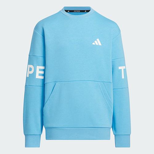 アディダス adidas ワード クルーネック スウェットシャツ 長袖 トレーニングウエア ジュニア JM4570の通販は 4,950円