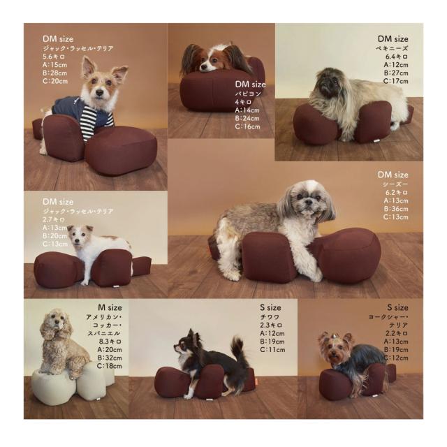 OneAid リラクッション 撥水カバーセット 超小型犬〜小型犬用 S 本体：ベージュ カバー：オレンジ_12