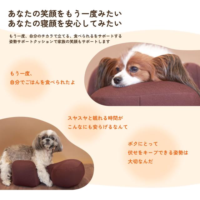 OneAid リラクッション 撥水カバーセット 超小型犬〜小型犬用 S 本体：ベージュ カバー：オレンジ_18