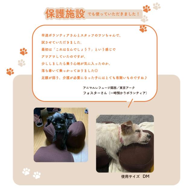 OneAid リラクッション 撥水カバーセット 超小型犬〜小型犬用 S 本体：ベージュ カバー：オレンジ_19