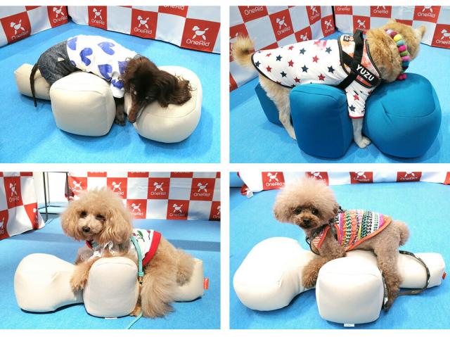 リラクッション ペット DL ブラウン OneAid 犬用 介護 介護用品 ベッド 姿勢安定 中大型短足犬用