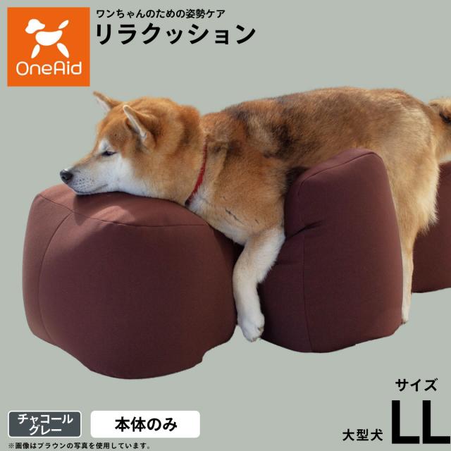 リラクッションDM 本体のみ ブラウン OneAid