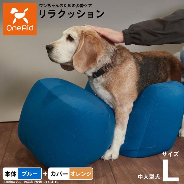 OneAid ワンエイド リラクッション＆専用カバーセット S ブルー OneAid ワンエイド リラクッション＆専用カバーセット S ブルー Amazon