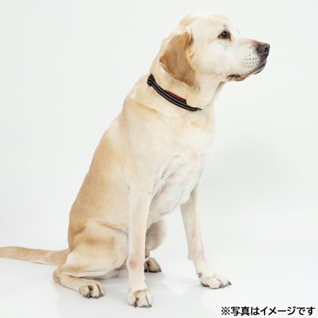 ペタプラス YORISOUカラー 犬用首輪 L イエロー【送料無料】 スパオール テラクール 血行 疲労 リラクゼーション 健康サポート 老犬_1
