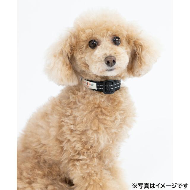 ペタプラス YORISOUカラー 犬用首輪 XS イエロー【送料無料】 スパオール テラクール 血行 疲労 リラクゼーション 健康サポート 老犬_1