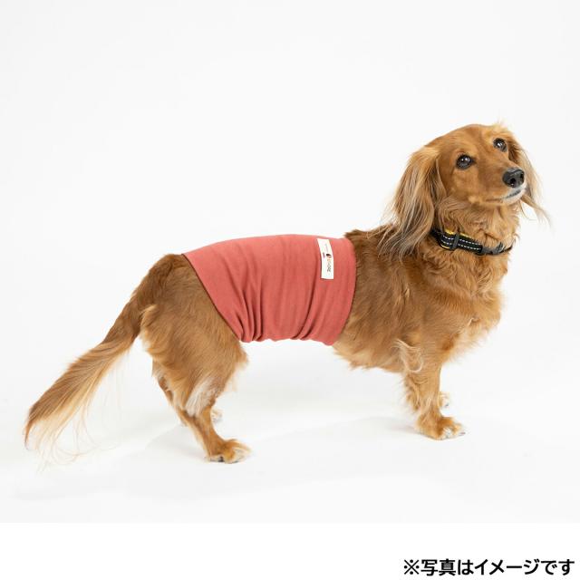 ペタプラス HARAMAKI 犬猫用腹巻 3L レッド【送料無料】 スパオール テラクール 血行 疲労 リラクゼーション 健康サポート 老犬 冷え ヘルニア_3