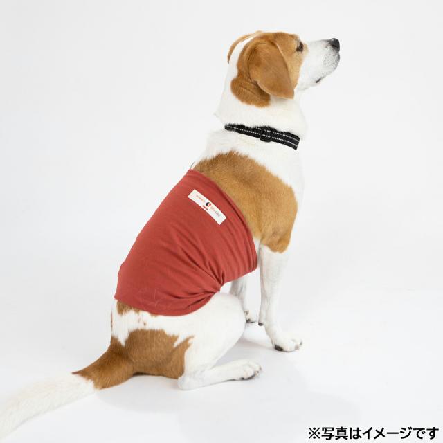ペタプラス HARAMAKI 犬猫用腹巻 3L レッド【送料無料】 スパオール テラクール 血行 疲労 リラクゼーション 健康サポート 老犬 冷え ヘルニア_4
