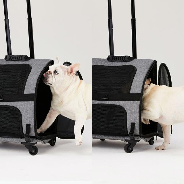 エアバギー フィット エアバギー犬 アースグレー 送料無料 AirBuggy for PET ペットキャリー ペットカート キャスター付き 小型犬 中型犬 猫 フラット 高さ切り替え_15