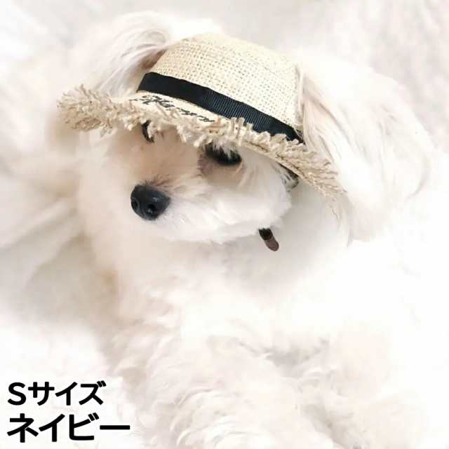 犬の帽子 ガーデンオブエデン 麦わらレターハット Sサイズ ネイビーの通販は