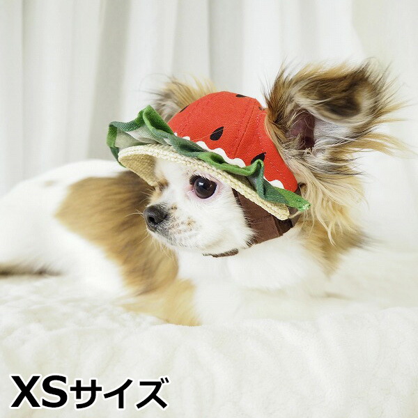 犬の帽子 ガーデンオブエデン すいかフリルハット XSサイズの通販は