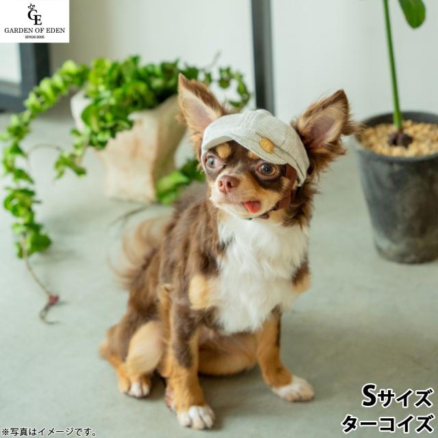 犬の帽子 ガーデンオブエデン オーガニックコットンキャスケット S ターコイズ