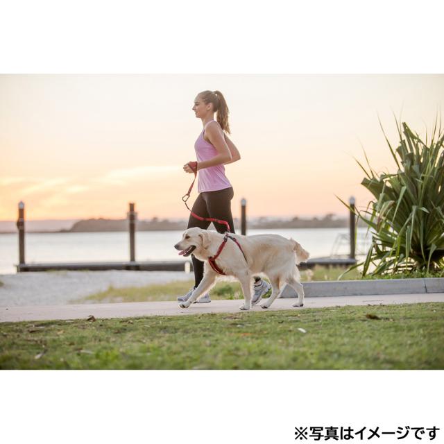 イージードッグ EZYDOG ハンディゼロショックリード レッドの通販はau