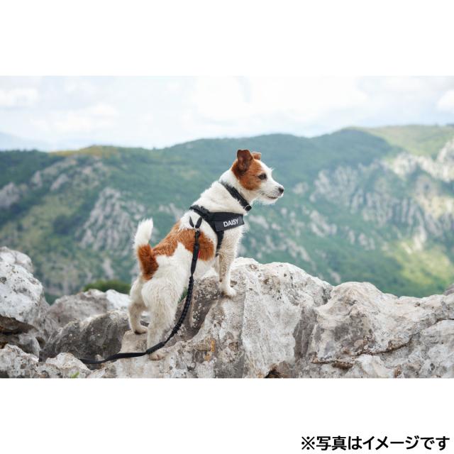 イージードッグ EZYDOG エクスプレスハーネス M デニム