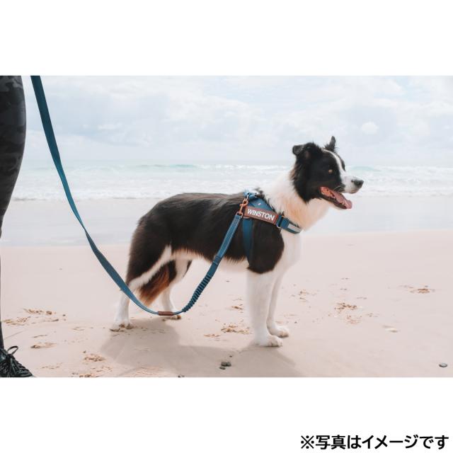 イージードッグ EZYDOG エクスプレスハーネス M デニム