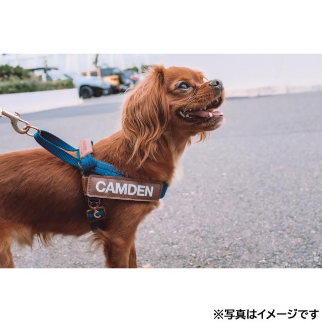 イージードッグ EZYDOG エクスプレスハーネス M デニム