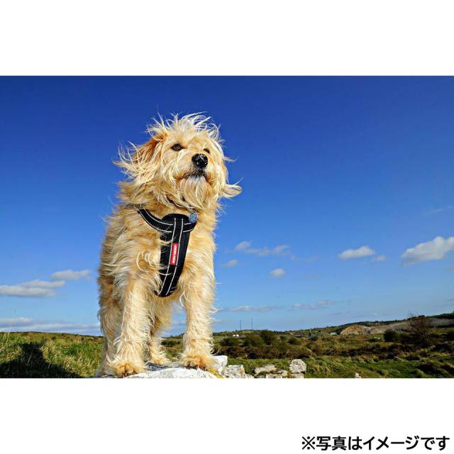 イージードッグ EZYDOG ハーネス XL ブラック 胴輪（ハーネス）