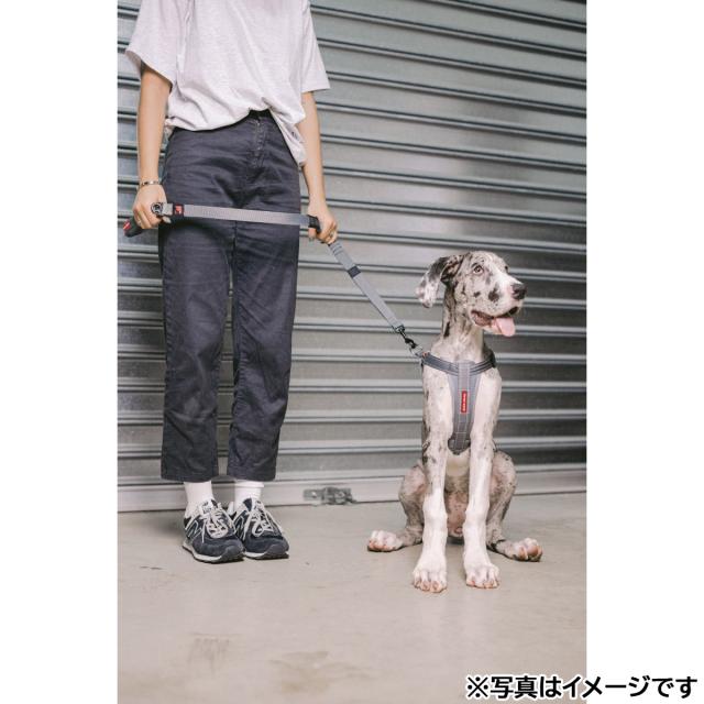 イージードッグ EZYDOG ハーネス XL ブラック 胴輪（ハーネス）