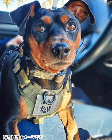 KILONINER キロナイナー 2023モデル M1 Light Speed Harness M1 ライト