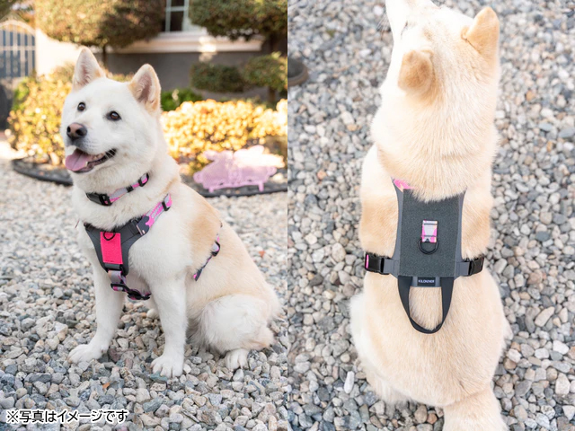 KILONINER キロナイナー 2023モデル M1 Light Speed Harness M1 ライト