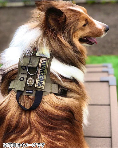 KILONINER キロナイナー 2023モデル M1 Light Speed Harness M1 ライト