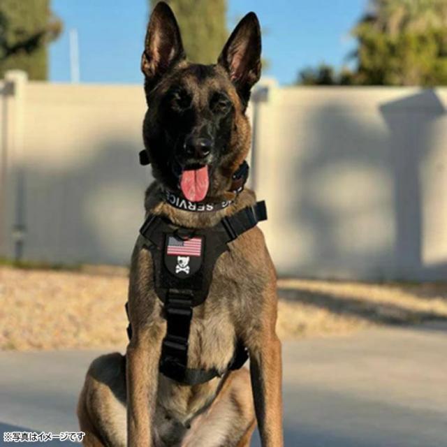 Kiloniner 2023モデル M1 Light Speed Harness KILONINER（キロナイナー）2023モデル M1 Light Speed Harness