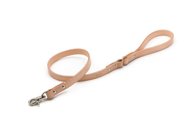 QUCHITAP（クチタプ） セボナーコレクション リードの通販は