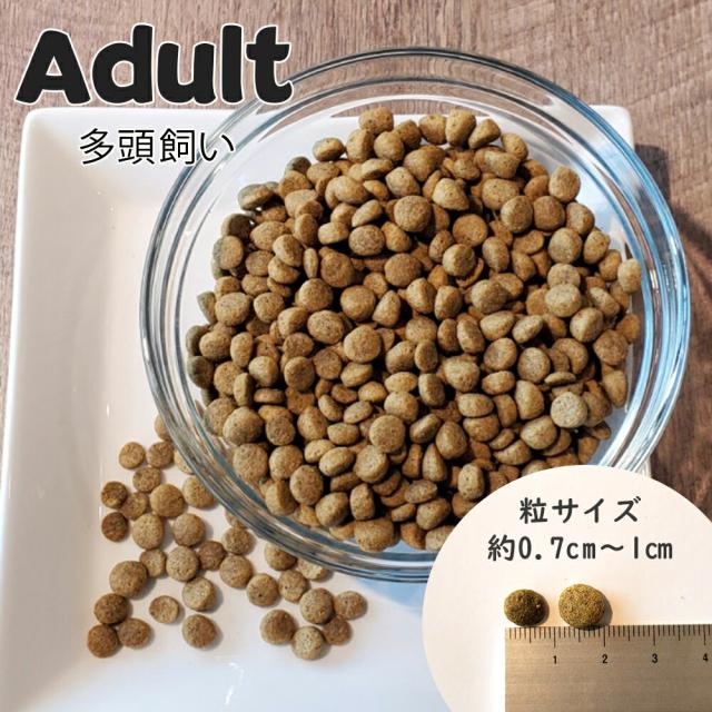 ネイチャーズハグ Nature’s HUG キャットフード アダルト マルチキャット アクティブ 4.54kg【送料無料】 無添加 サスティナビリティ ビーガン 代替タンパク_15