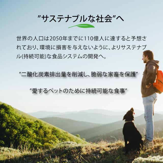 ネイチャーズハグ Nature’s HUG キャットフード アダルト マルチキャット アクティブ 4.54kg【送料無料】 無添加 サスティナビリティ ビーガン 代替タンパク_2