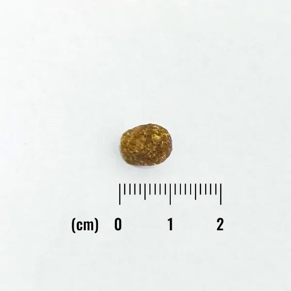 ナチュラルバランス キャットフード オリジナルウルトラ 成猫用 鶏肉＆サーモン インドアキャット 1.8kg×6個セット_1