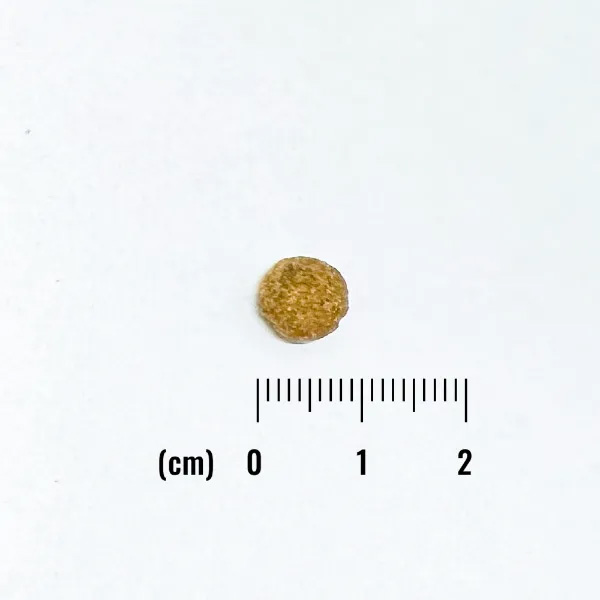 ナチュラルバランス キャットフード オリジナルウルトラ 成猫用 チキン＆サーモン 低カロリー 1.8kg×6個セット_1