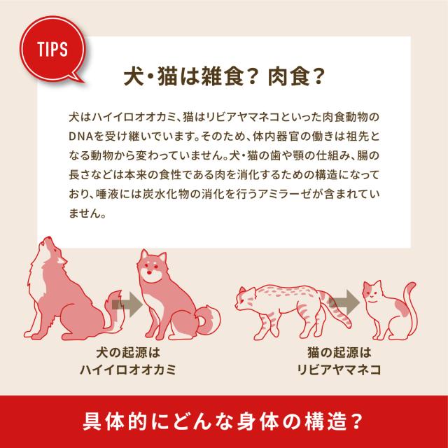 アカナ ACANA キャットフード パシフィカキャット 全猫種 全年齢 穀物不使用 1.8kg×8個セット_4
