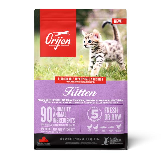 ねこ様 skc-167872-choc_2.jpg