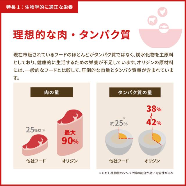 オリジン Orijen キャットフード キトゥン 全猫種 子猫用 穀物不使用 1.8kg×8個セット