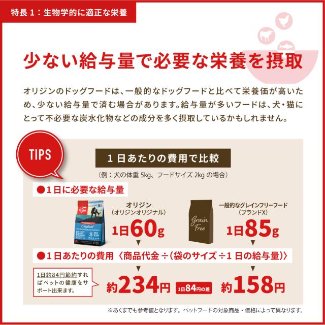 オリジン Orijen キャットフード キトゥン 全猫種 子猫用 穀物不