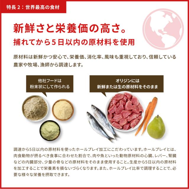 オリジン Orijen キャットフード キトゥン 全猫種 子猫用 穀物不使用 1.8kg×8個セット