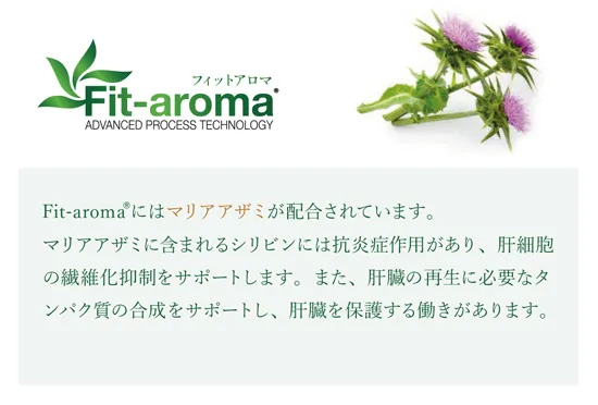 ベッツソリューション Vet Solution ドッグフード 犬用食事療法食 肝臓サポート 3kg×5個_7