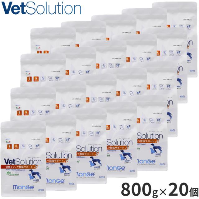 ベッツソリューション Vet Solution ドッグフード 犬用食事療法食 腎臓＆シュウ酸塩サポート 800g×20個