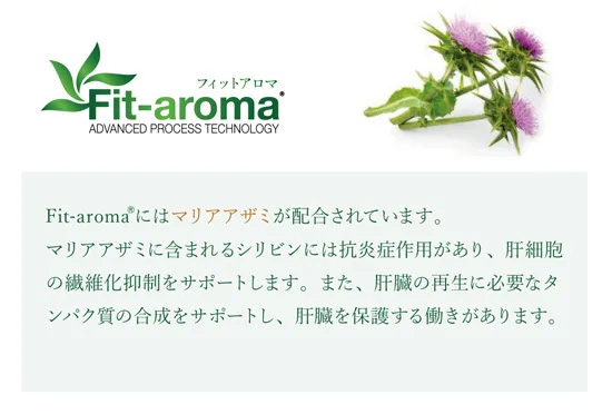 ベッツソリューション Vet Solution キャットフード 猫用食事療法食 肝臓サポート 400g×12個_9