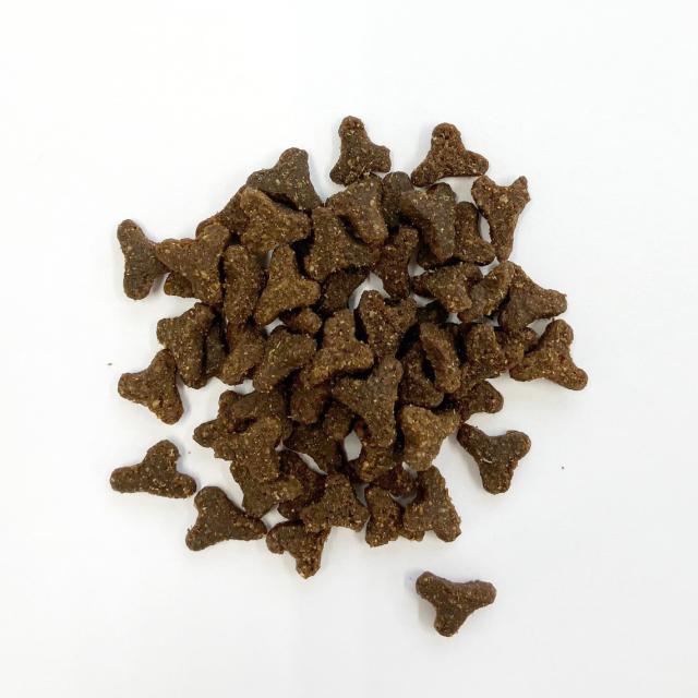 ファーストメイト FirstMate キャットフード ケージフリーダック ウィズ ブルーベリーグレインフリー グルテンフリー 1.81kg ファーストメイト FirstMate キャットフード ケージフリーダック ウィズ ブルーベリーグレインフリー グルテンフリー 1.81kg