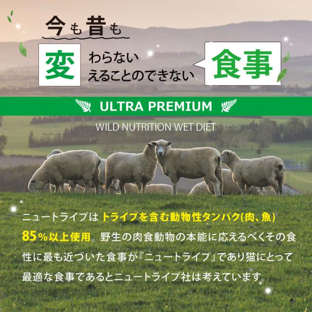 ニュートライプ 猫缶 CAT PURE グリーントライプ 95g×24缶_4