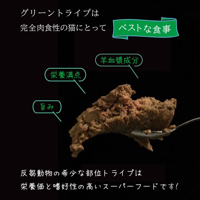 ニュートライプ 猫缶 CAT PURE ビーフ＆グリーントライプ 95g×24缶_3