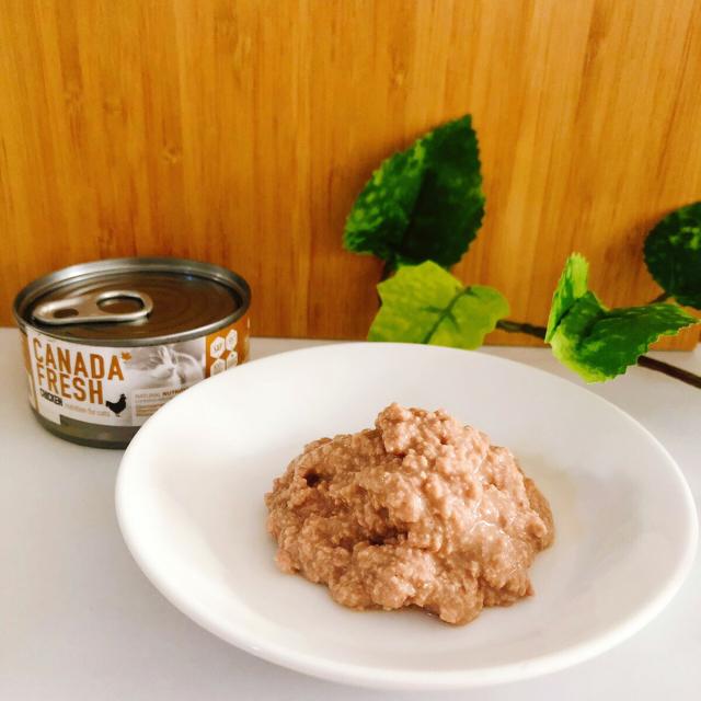 ペットカインド カナダフレッシュ キャットウェット チキン SAP 85g×24缶 猫 キャットフード ウェット 缶詰 総合栄養食 全猫種 全年齢 合成保存料・人工香料・着色料不使用_1