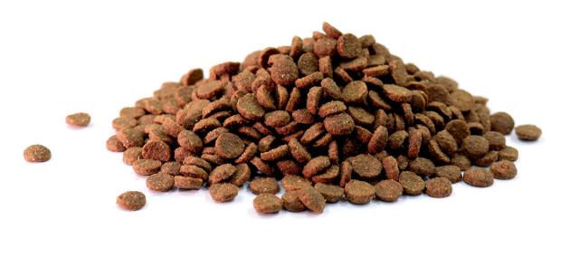 キアオラ KiaOra キャットフード カンガルー 2.7kg 猫 ドライフード 総合栄養食 無添加 グレインフリー 全猫種用 オールブリード 【送料無料】_3