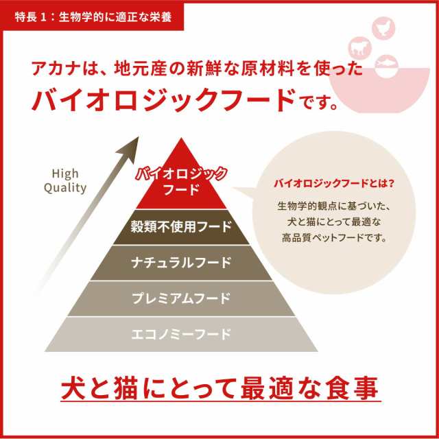 アカナ ACANA ドッグフード パピースモールブリードレシピ 小型犬 子犬用 穀物不使用 6kg【送料無料】 正規品 無添加 グレインフリーの通販は