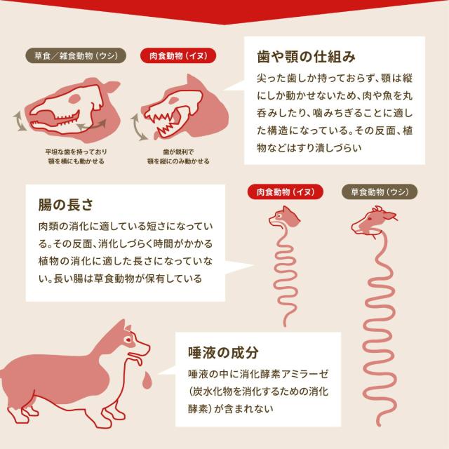 アカナ ACANA ドッグフード シングル フリーランダック 全犬種 全年齢用 穀物不使用 6kg【送料無料】 正規品 無添加 グレインフリー_5