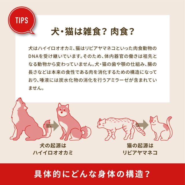 アカナ ACANA キャットフード ワイルドプレイリーキャット 全猫種 全年齢 穀物不使用 4.5kg【送料無料】 正規品 無添加 グレインフリー_4