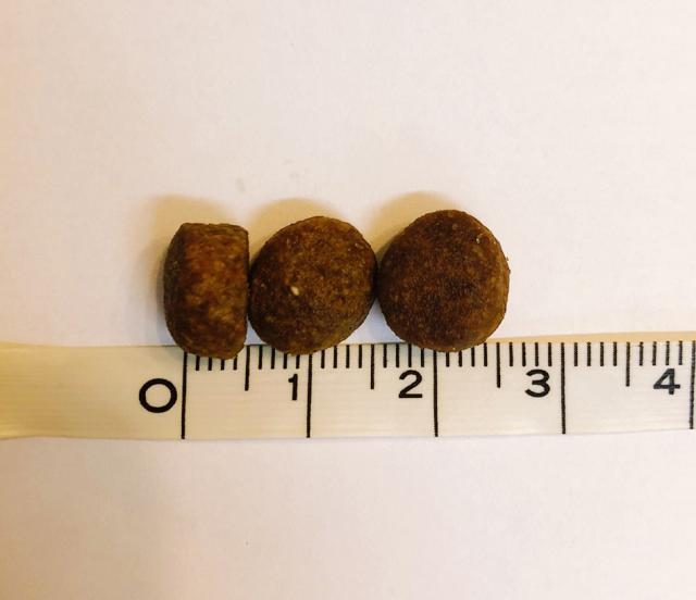 ペットカインド トライプドライ グリーンビーフトライプSAP 小粒 11.34kg 犬 ドッグフード 全犬種 全年齢 ドライ 総合栄養食 グレインフリー 合成保存料・香料・着色料不使用_2
