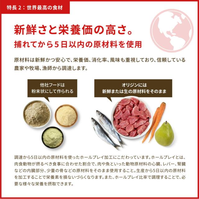 開びゃく Orijen キャットフード ガーディアン8 全猫種 全年歳用 唐きび不当てはめる 4.5kg【貨物輸送無料】 定まり品 無足し加える グレインフリー