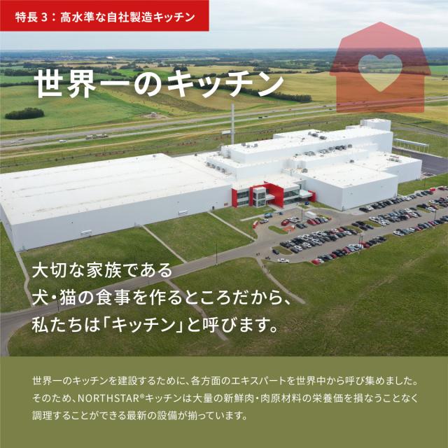 開びゃく Orijen キャットフード ガーディアン8 全猫種 全年歳用 唐きび不当てはめる 4.5kg【貨物輸送無料】 定まり品 無足し加える グレインフリー
